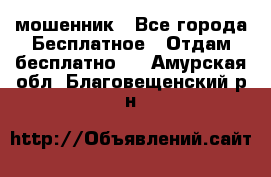 мошенник - Все города Бесплатное » Отдам бесплатно   . Амурская обл.,Благовещенский р-н